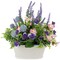 Northlight 12" Artificial Lavender and Mixed Spring Floral in Weathered Ceramic Pot
